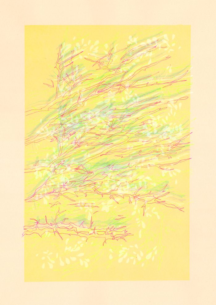 Petit vent